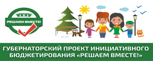 баннер губернаторского проекта "Решаем вместе"